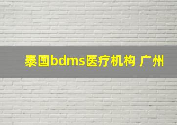 泰国bdms医疗机构 广州